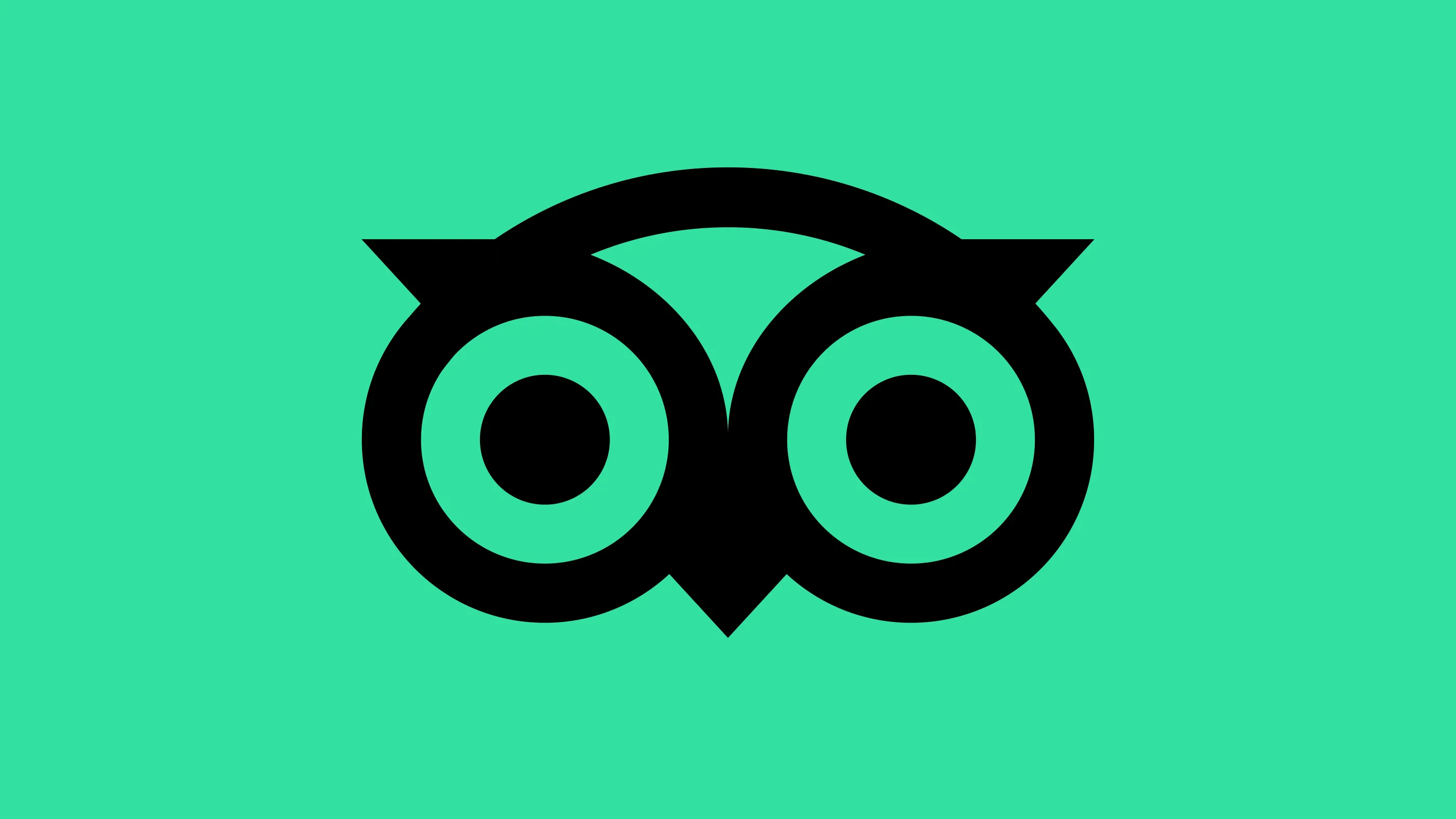 TripAdvisor